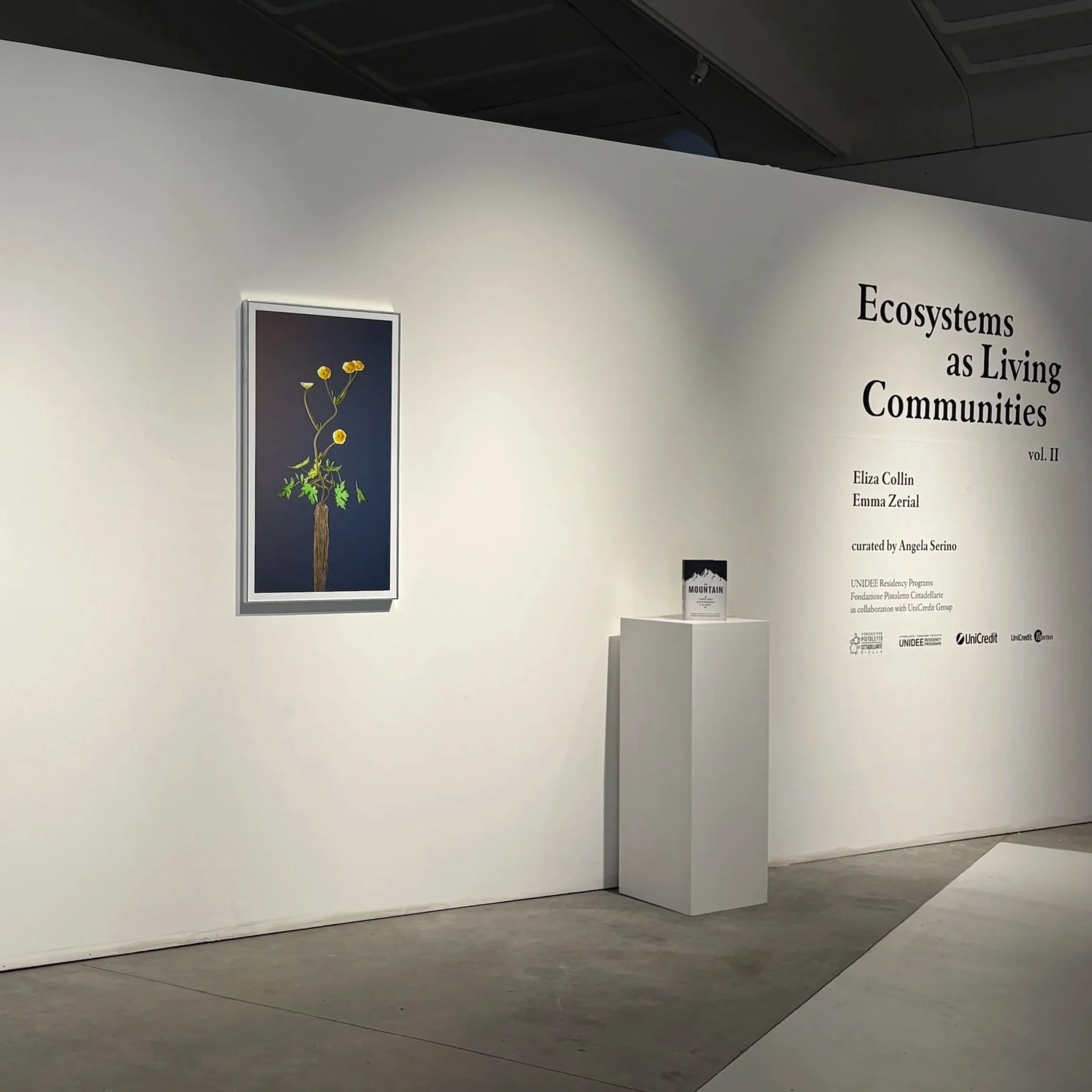 'Ecosystems as Living Communities II' Now Open at Cittadellarte, Biella
