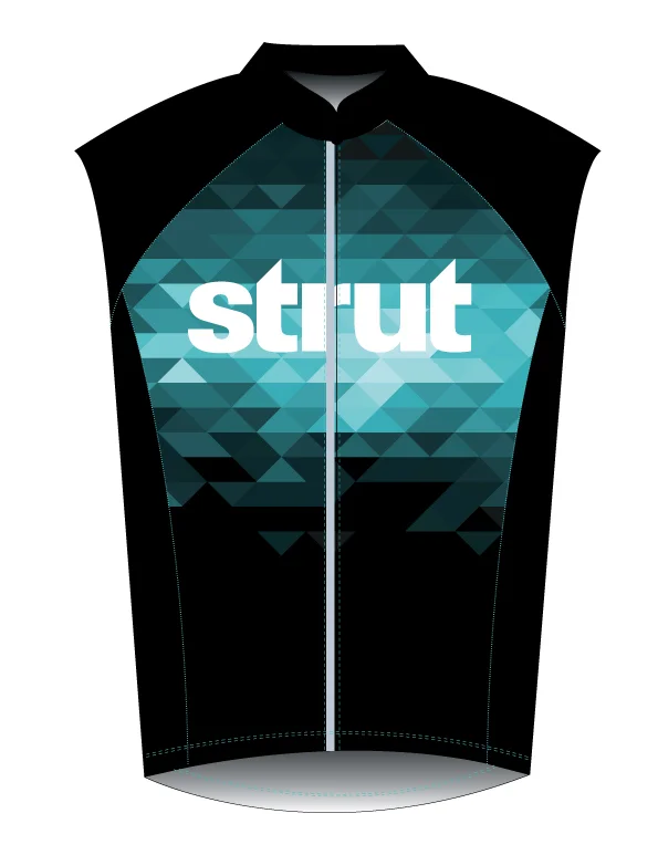 SFAF_canariVest_01_21_15.jpg