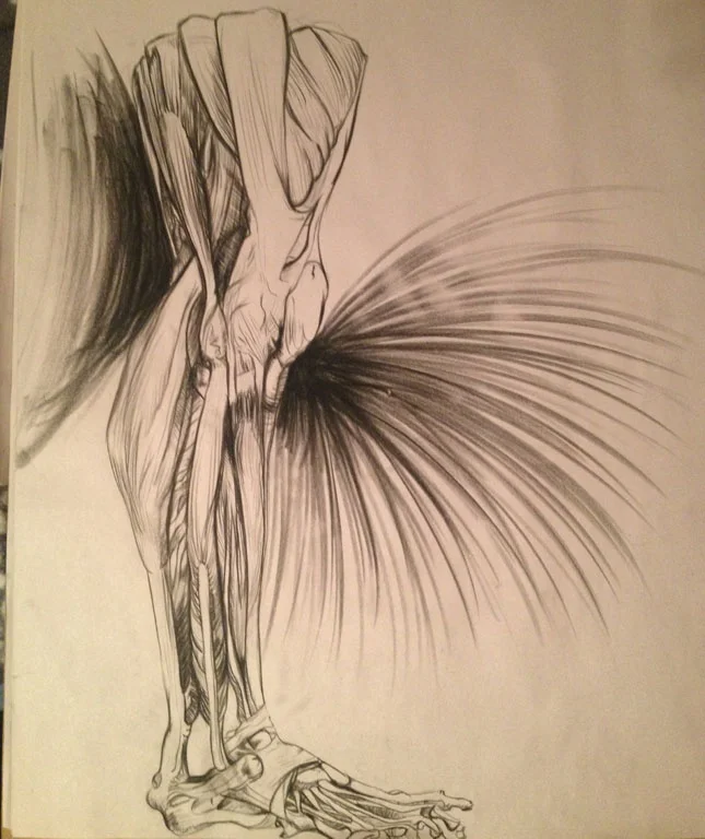 side leg1.jpg