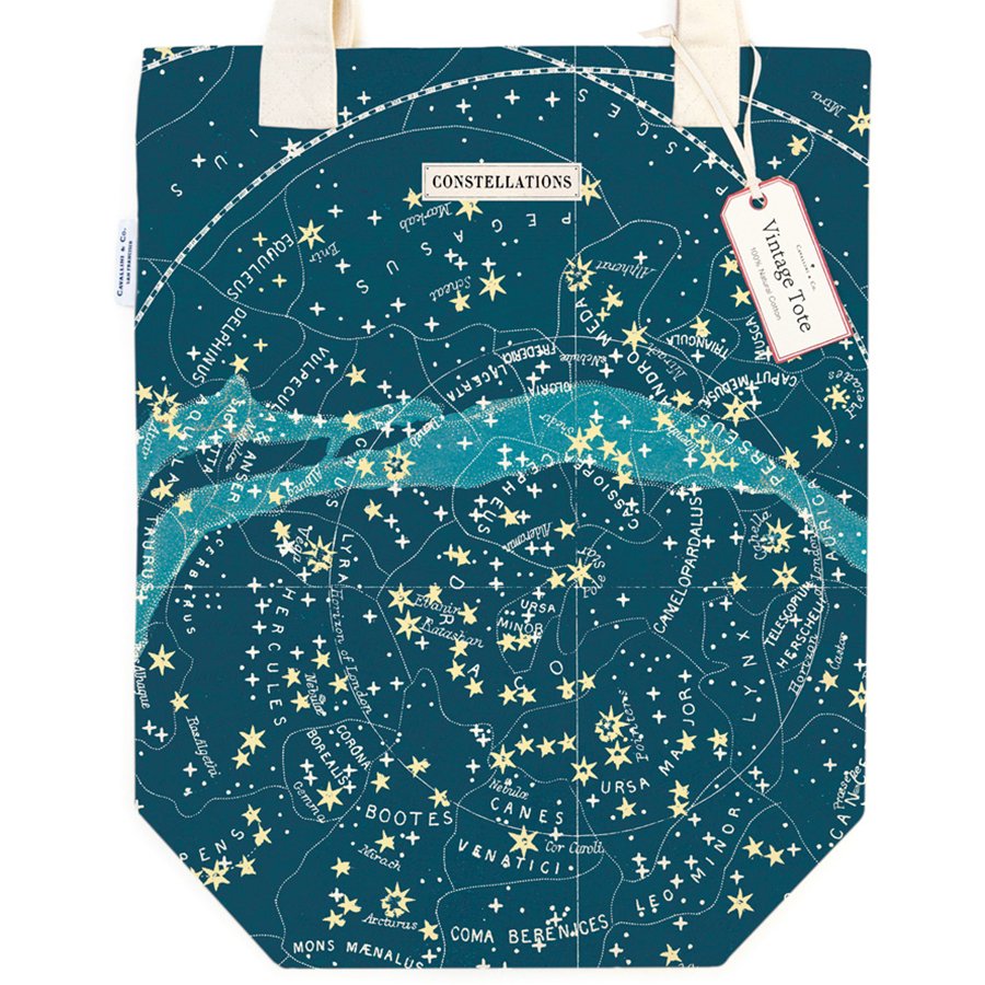Cavallini Celestial Canvas Tote Bag