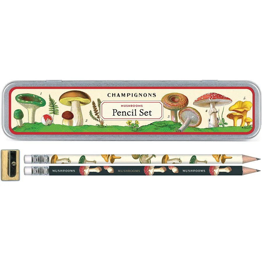 mushroom-foraging-pencil-set-cavallini-museum-outlets.jpeg