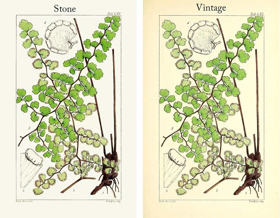 stone.jpg