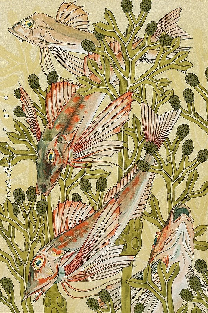 verneuil rouget vintage ephemera print card