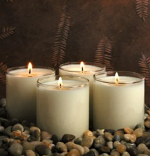 coconut lime soy candles by robinz handmade local