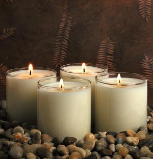basil herb soy candles by robinz handmade