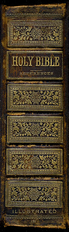 Bible Book Spine Wall Art