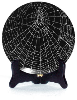 spider-web-under-glass-unique-gift.jpg