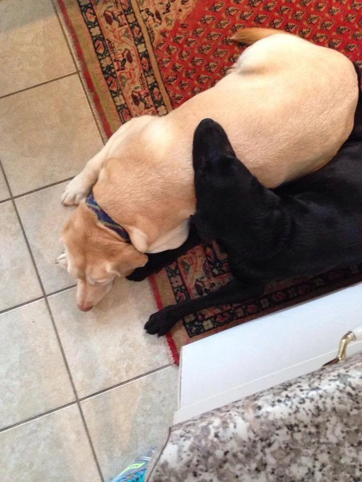 Sasha and Sam.jpg