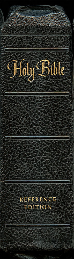 the bible antique book spine wall art