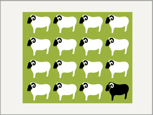 black sheep greeting card