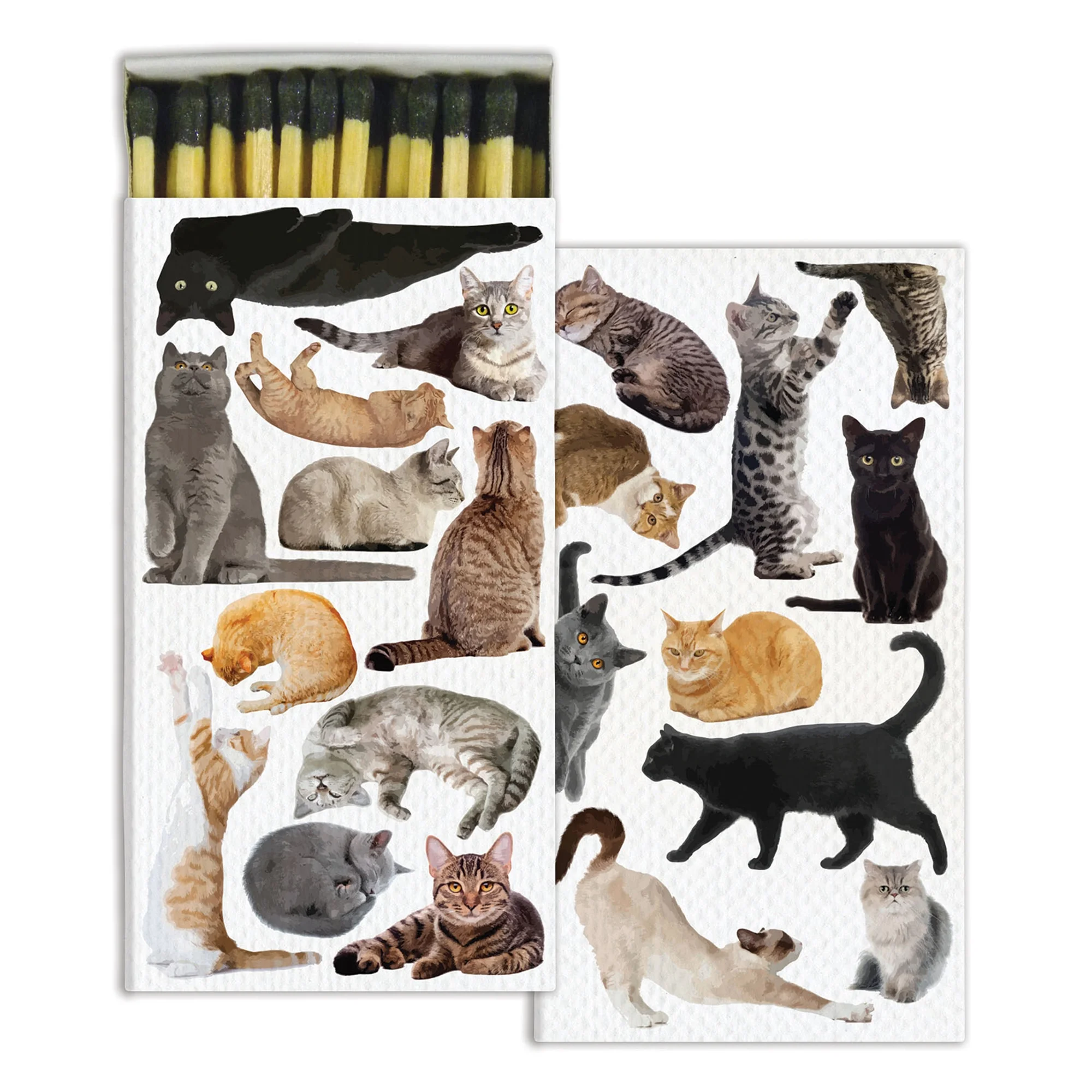 cats-decorative-boxed-matches.JPG