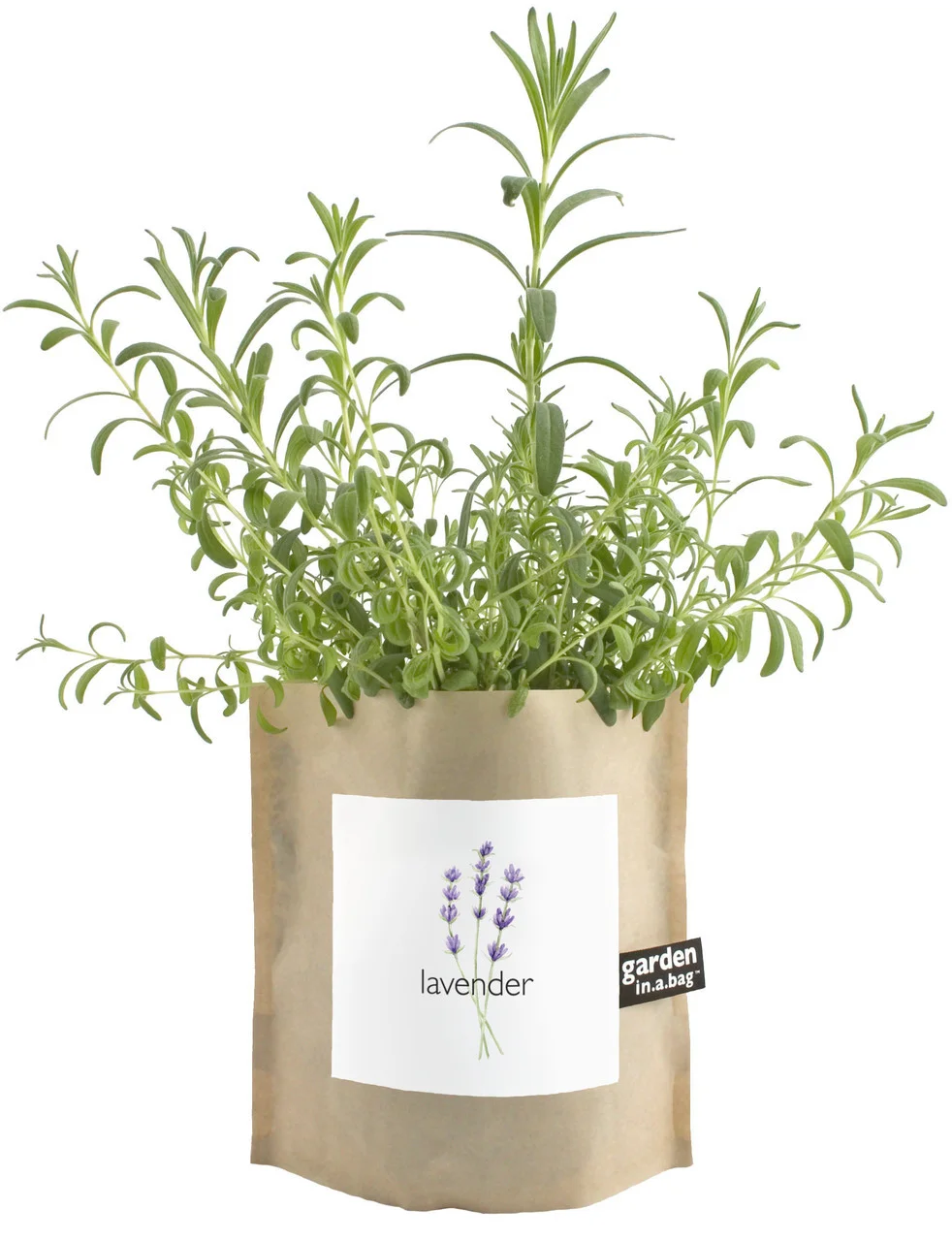 lavender-garden-in-a-bag-gift.jpg