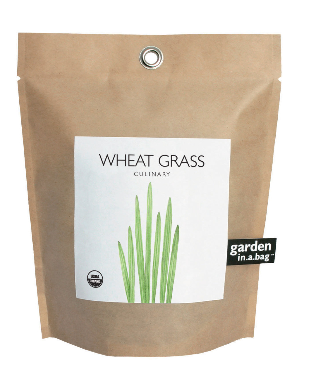 garden-in-a-bag-wheat-grass-garden-gift.jpg