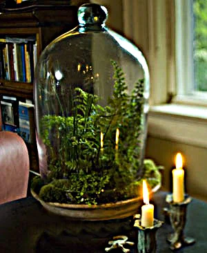 glass-dome-clay-tray-terrarium-museum-outlets.JPG