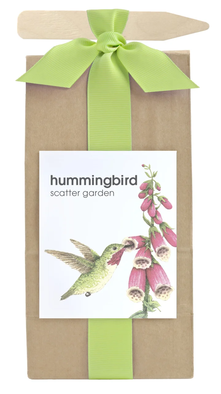 hummingbird-scatter-garden-in-a-bag-museum-outlets.jpg