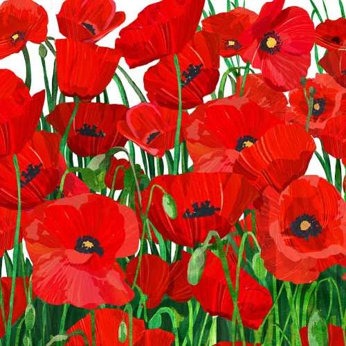 red-poppies-decorative-napkins-museum-outlets.jpg