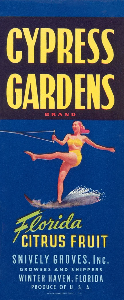 Cypress-Gardens-Citrus-Fruit-Vintage-advertising-Label.jpg