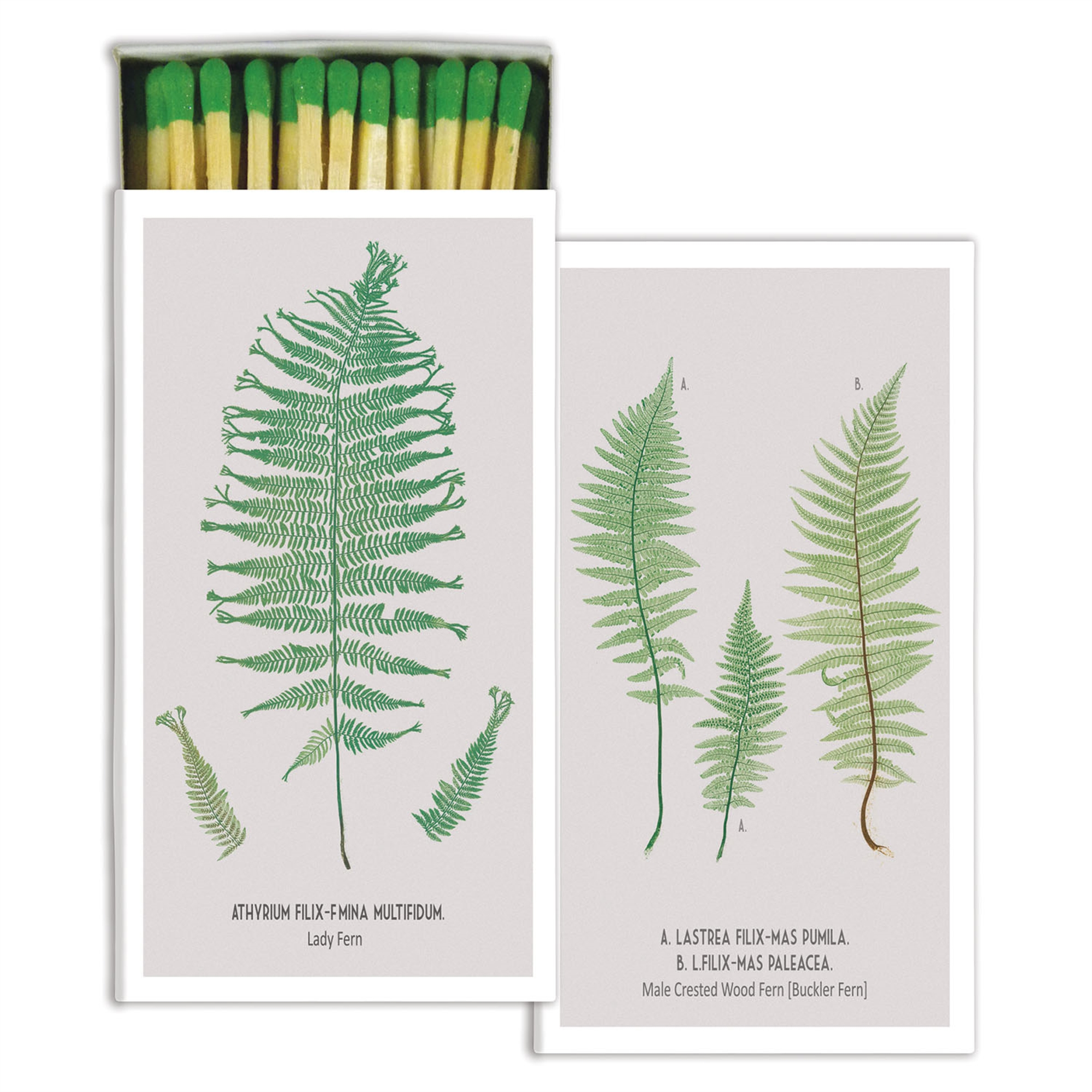 fern-decorative-boxed-matches-museum-outlets.JPG