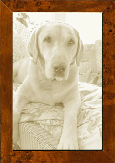 museum-facsimiles-picture-frames-made-in-usa.jpg