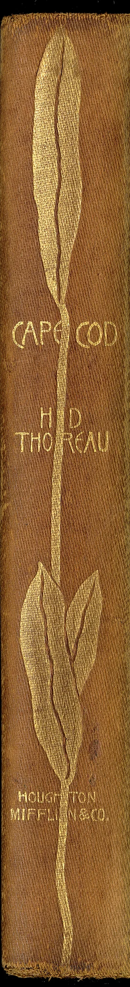 thoreau-cape-cod-framed-book-spine-wall-art-museum-outlets.jpg