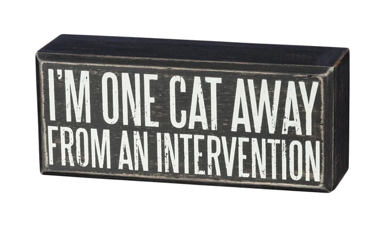 cat-intervention-word-block-cat-gift-museum-outlets.jpg