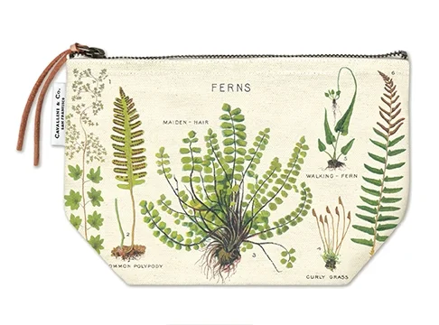 vintage-ferns-canvas-pouch-museum-outlets.jpg