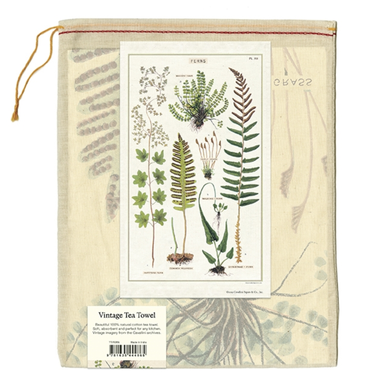 antique-fern-tea-towel-museum-outlets.png
