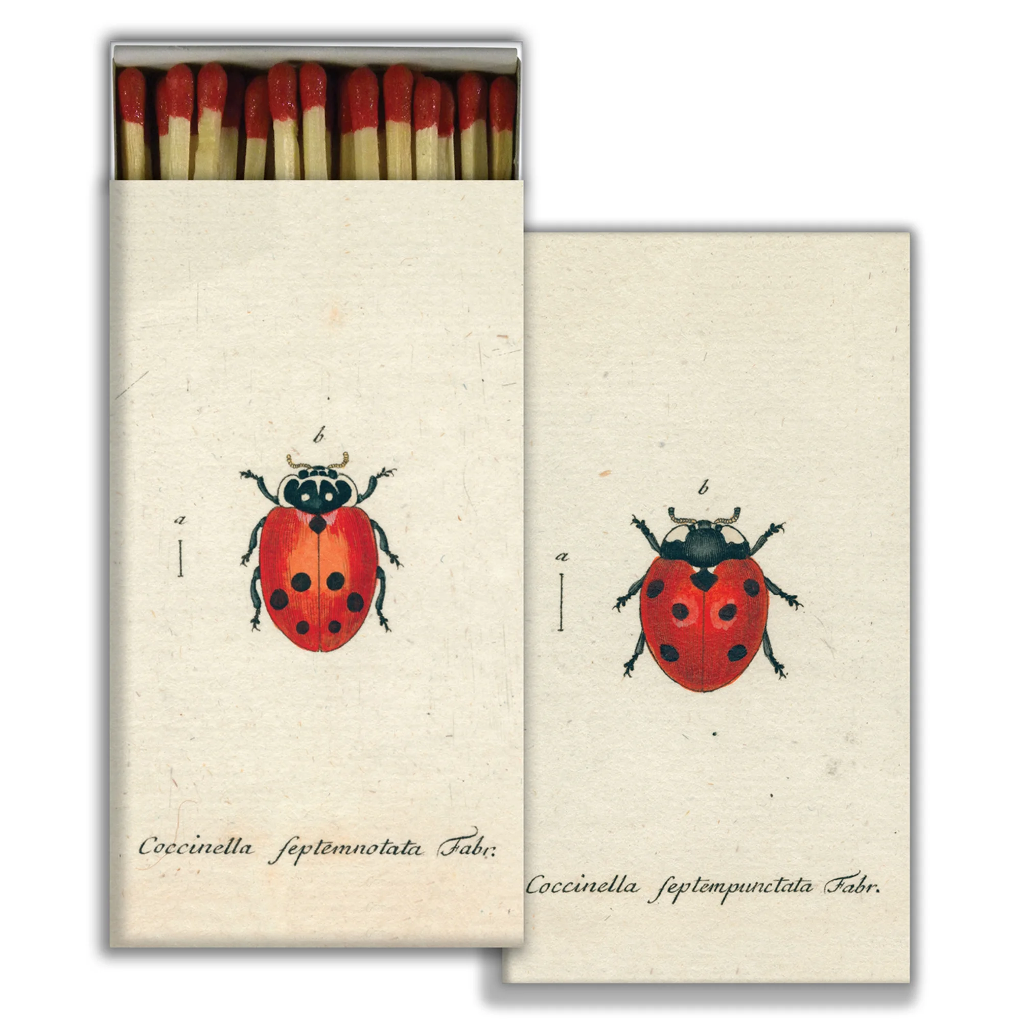 ladybug-decorative-boxed-matches-museum-outlets.jpeg