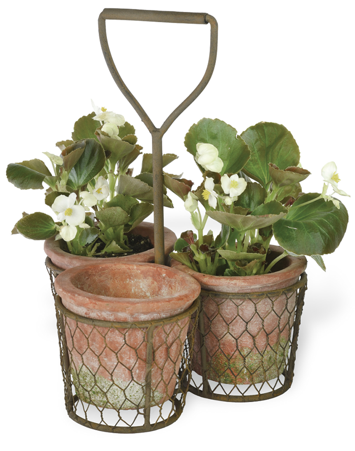 3-pot-plant-carrier-wire-museum-outlets.png