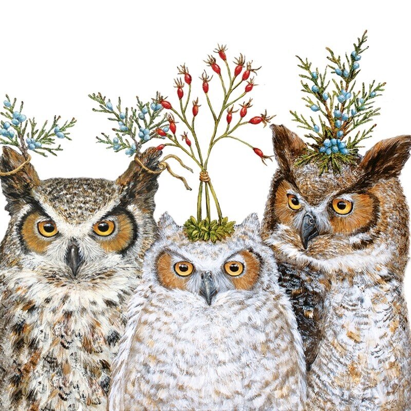 Vicki Sawyer Owl Family Bird Luncheon Napkins Sale!