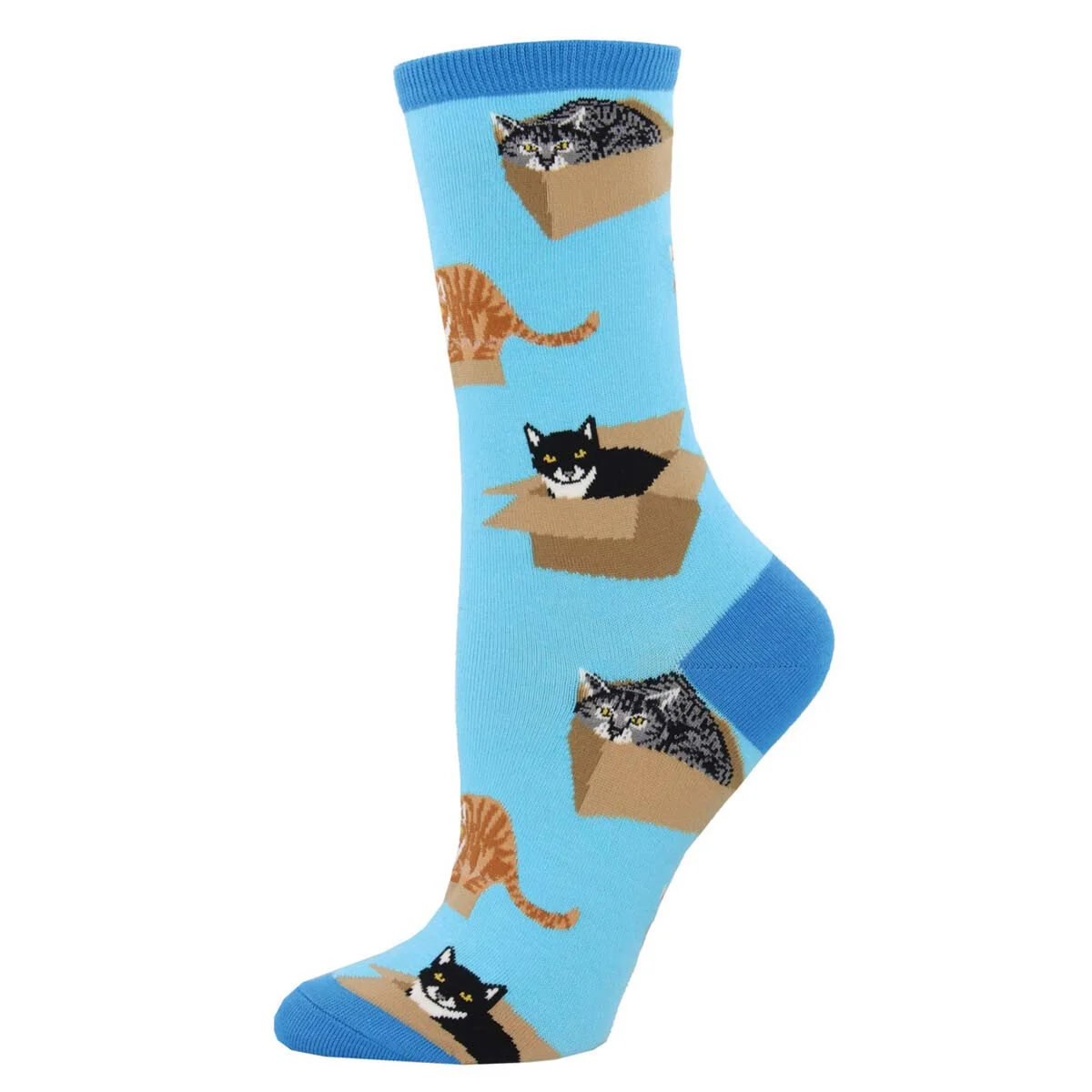 cat-in-box-womens-socks-museum-outlets.jpg