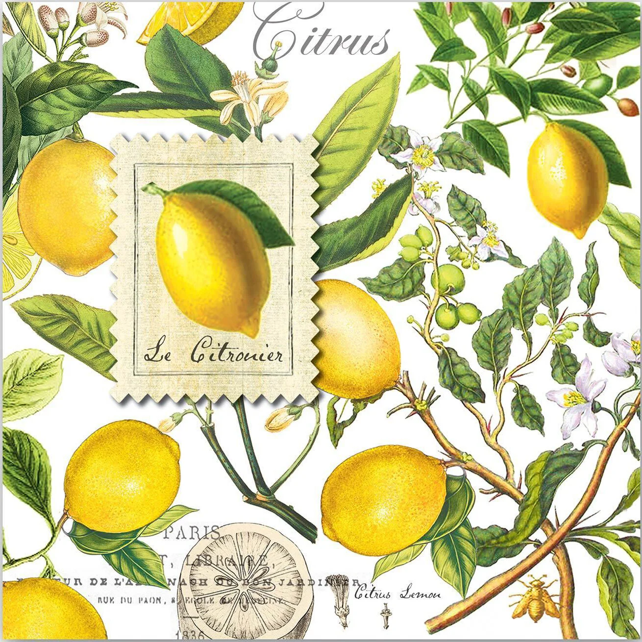lemon-decorative-napkins-for-entertaining-museum-outlets.jpg