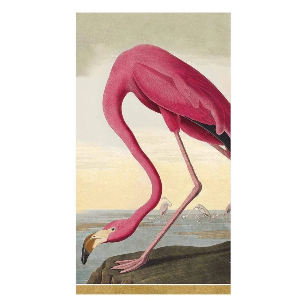 caspari-audubon-birds-paper-guest-towel-napkins-museum-outlets.jpg