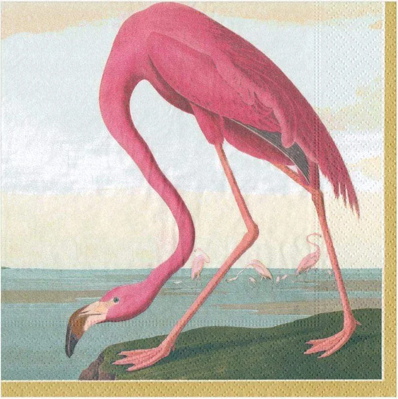 caspari-audubon-birds-paper-beverage-lunch-guest-napkins-museum-outlets.jpg