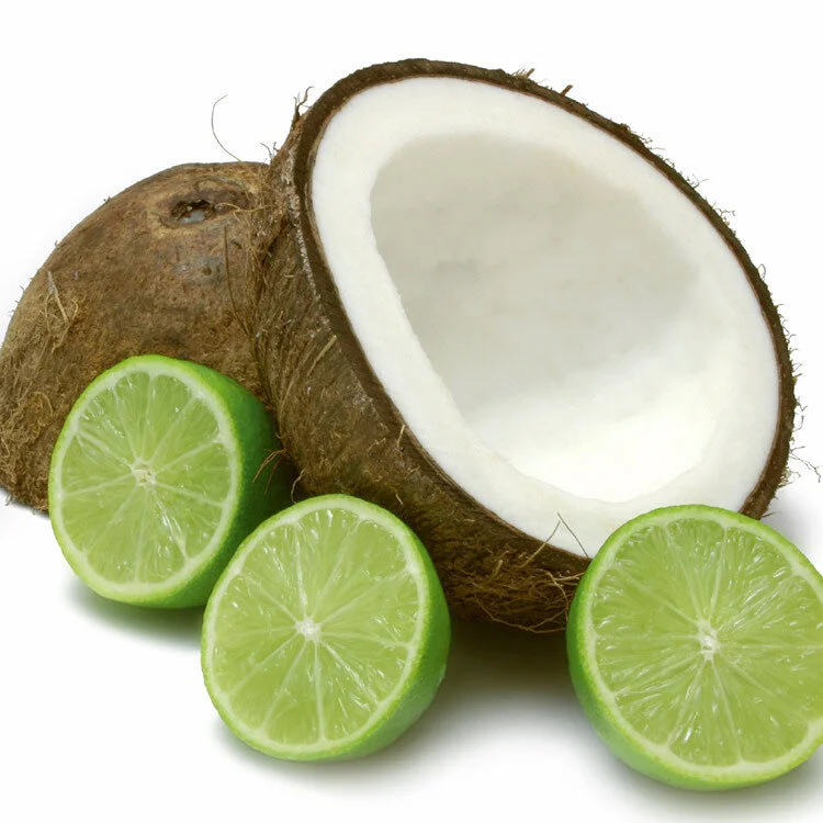 cocobut-lime-fragrance-zizzies-soy-candles-museum-outlets.jpg
