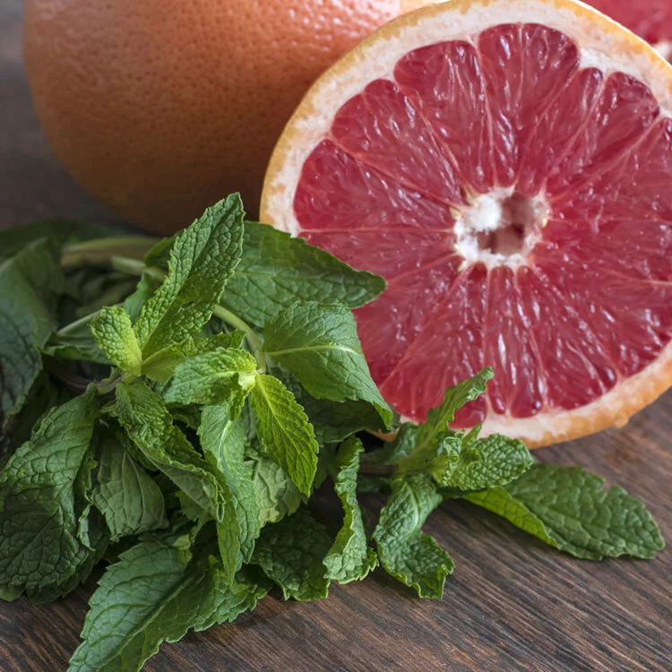 grapefruit-and-mint-fragrance-zizzies-soy-candles-museum-outlets.jpg