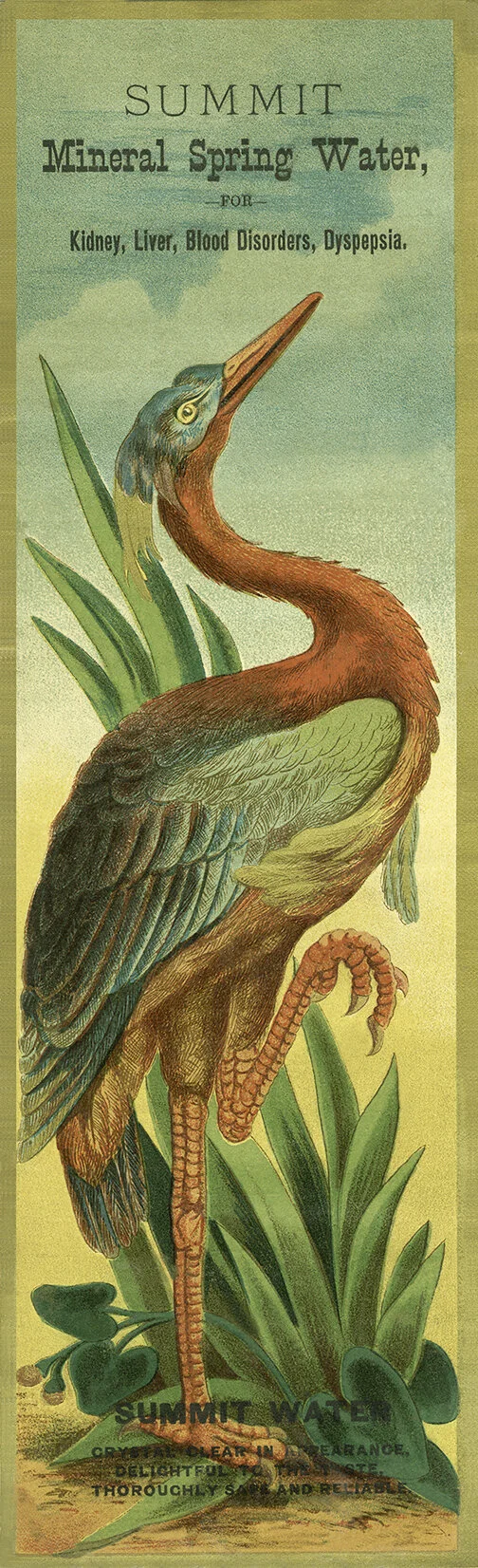 Summit-Mineral-Water-flamingo-vintage-advertising-poster-museum-outlets.jpg