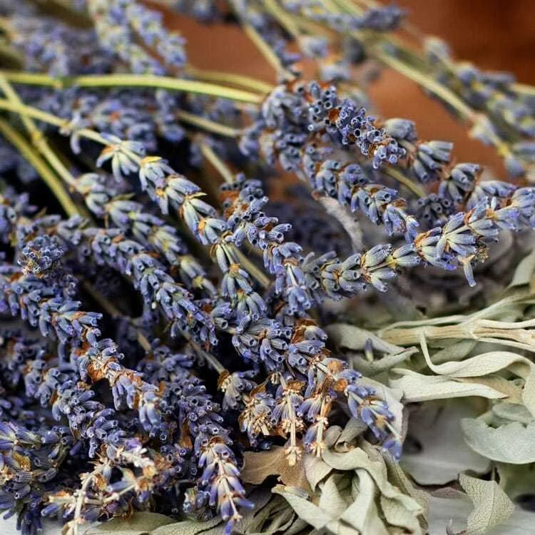 white-sage-lavender-handmade-zizzies-soy-candle-museum-ooutlets.jpg