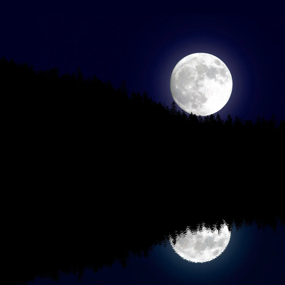 moon-lake-musk-soy-candles-by-zizzies-museum-outlets.jpg