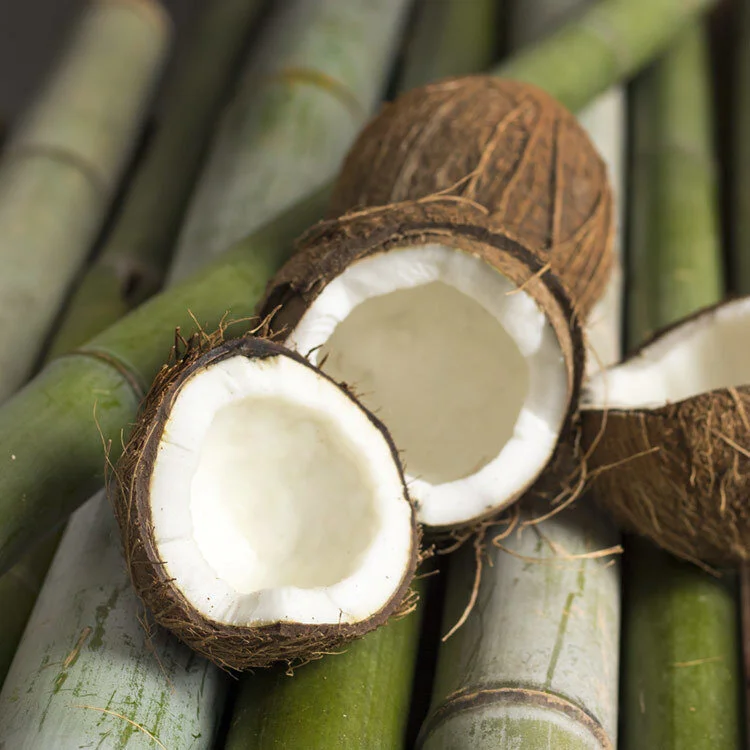 bamboo-and-coconut-scented-soy-wax-candles-by-zizzies-museum-outlets.jpg