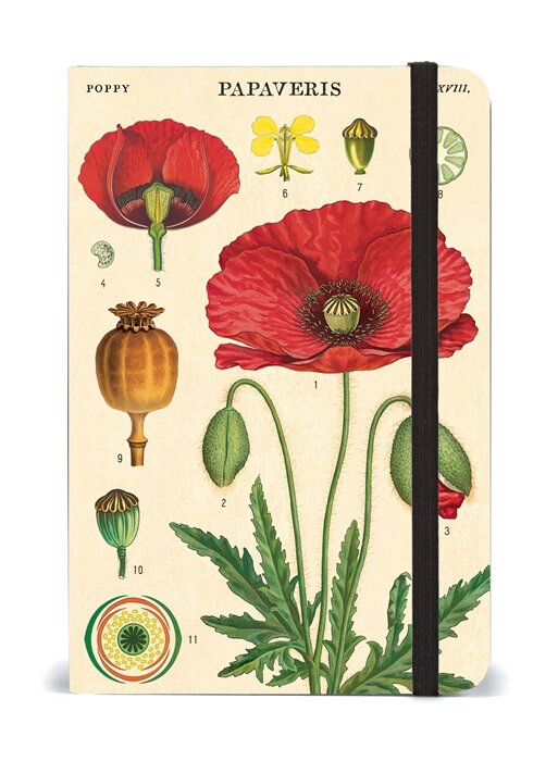 botany-small-notebook-journal-cavallini-museum-outlets.jpg