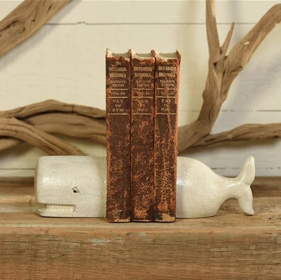 cast-iron-white-distressed-whale-bookends-museum-outlets.jpg