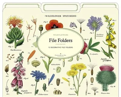 wildflowers-botanical-file-folders-office-cavallini-museum-outlets.jpg