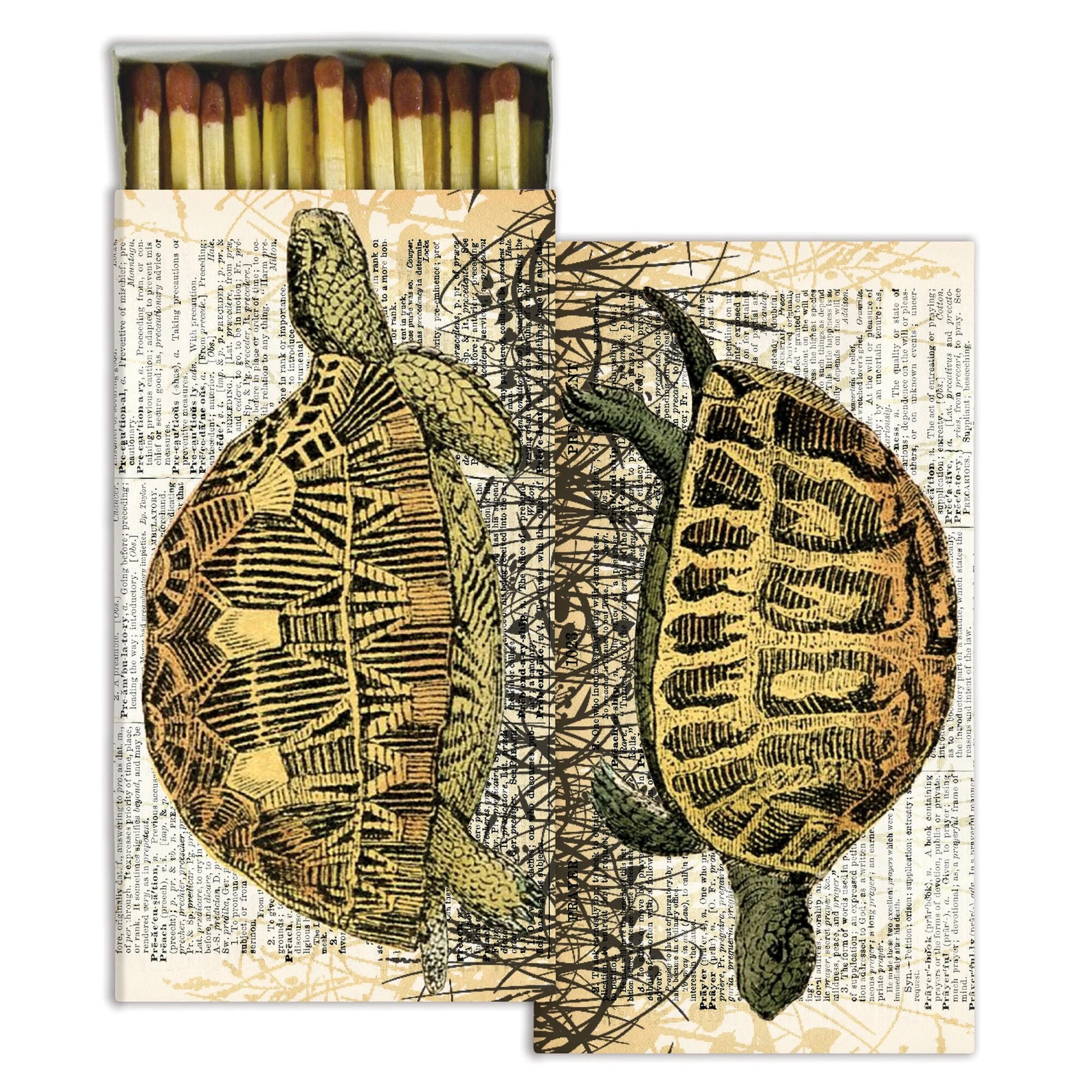 turtle-decorative-boxed-matches-museum-outlets.jpg