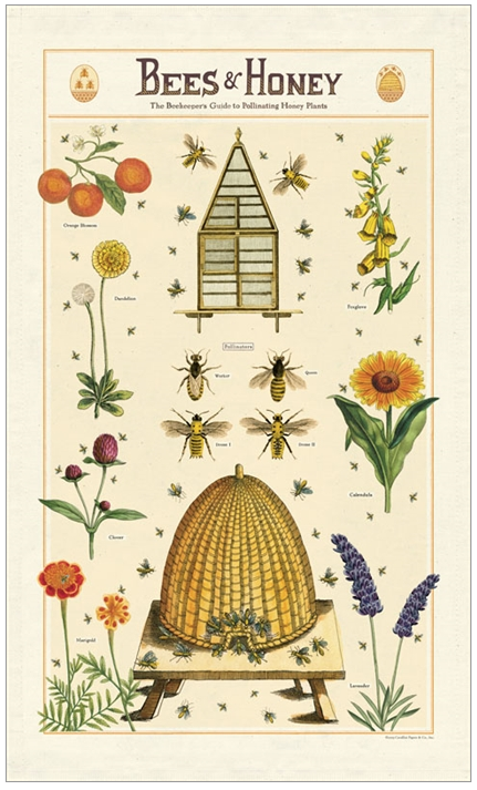 bees-honey-tea-towel-cavallini-museum-outlets.png