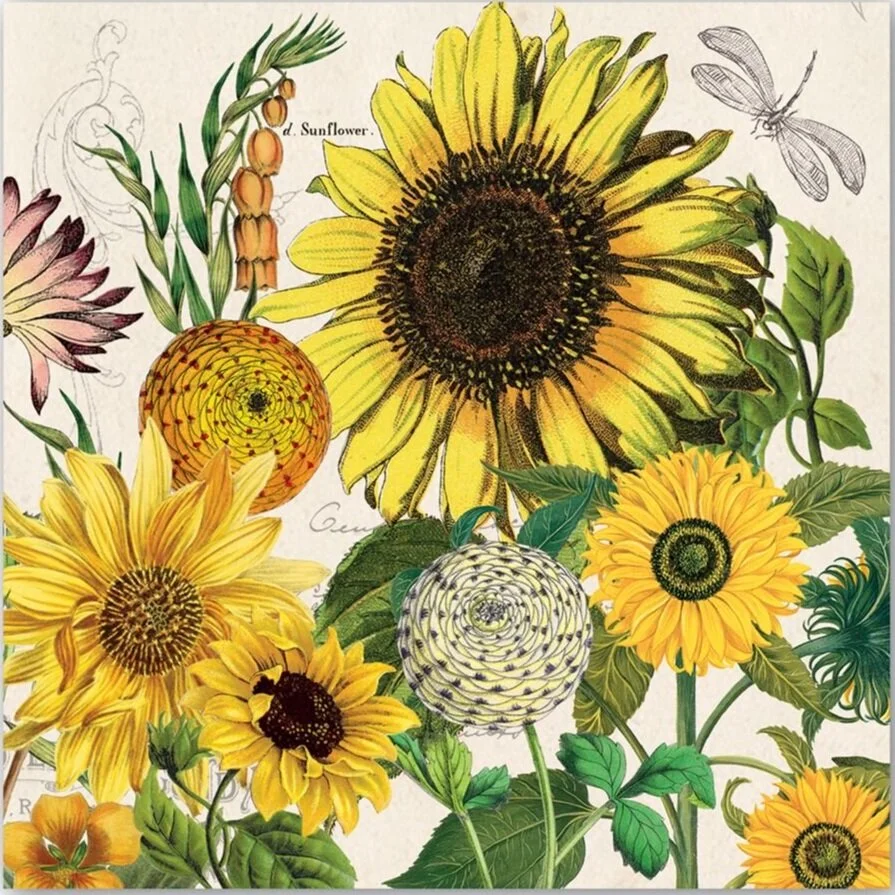 sunflower-lunch-paper-michel-design-works-secorative-paper-napkins-museum-outlets.jpg