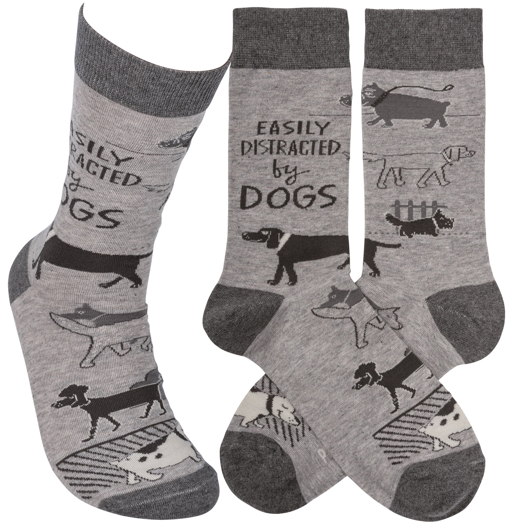 dog-socks-museum-outlets.jpg
