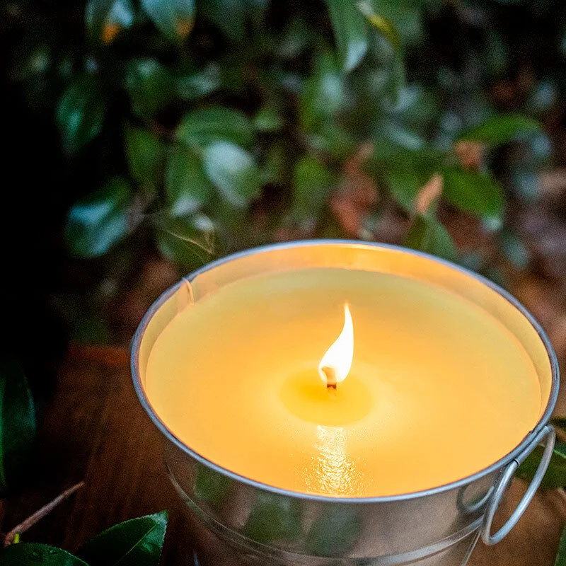 citronella-fragrance-oil-soy-candles-all-natural-made-in-usa-museum-outlets.jpeg