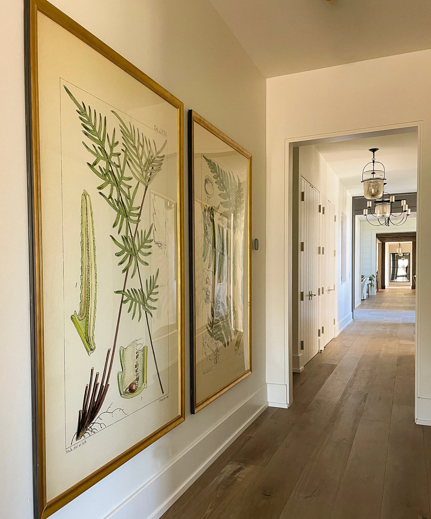 enlarged fern prints