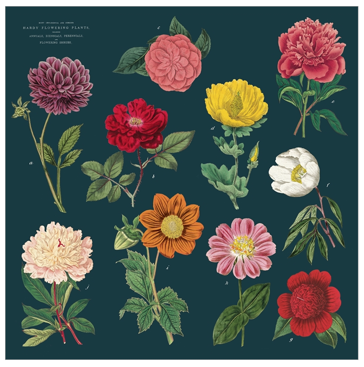 botany-cloth-napkins-cavallini-museum-outlets.png